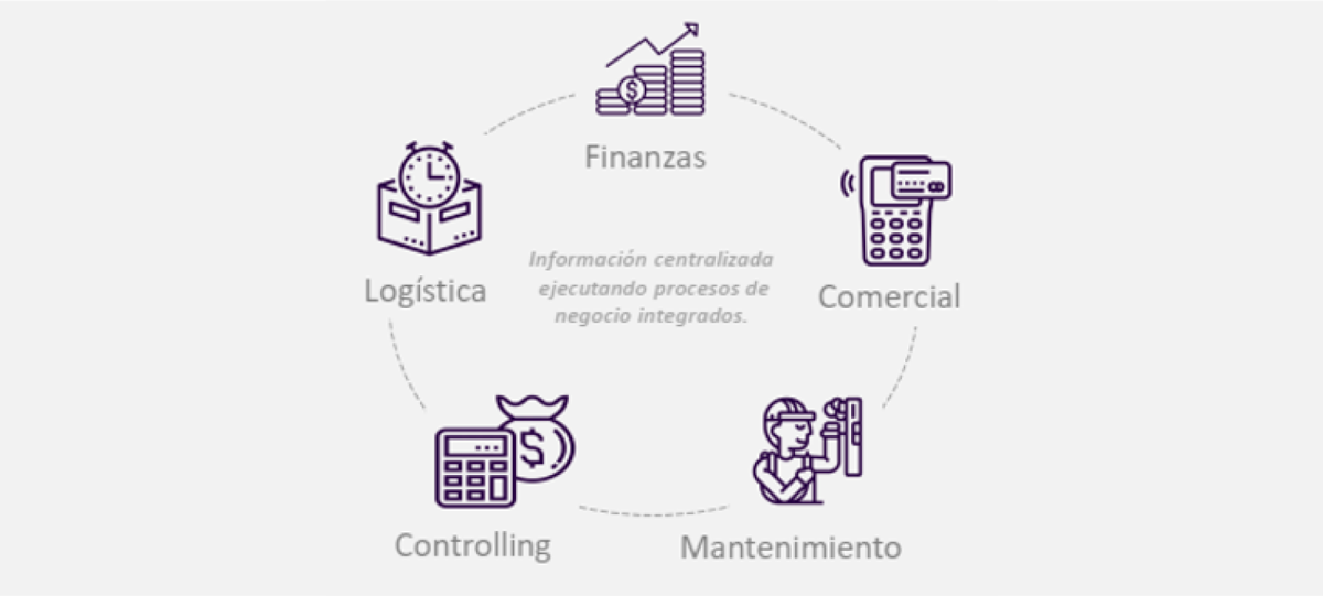 procesos_dec2020