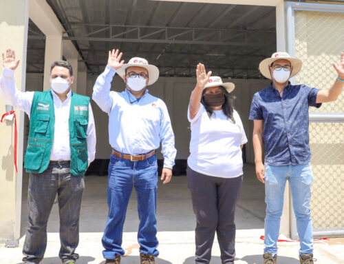 Nuevo centro de acopio lechero para Mollendo