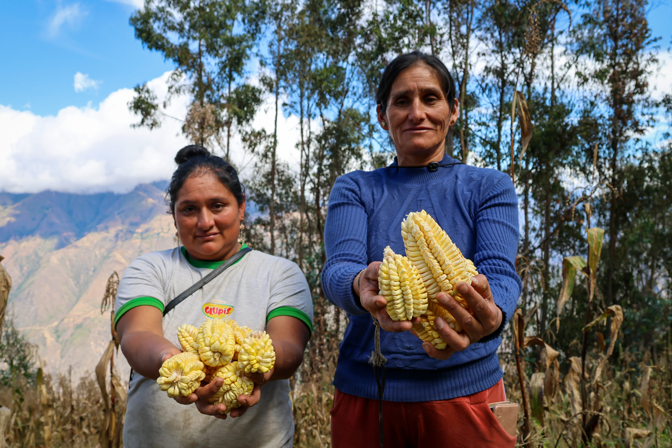Sumaq Sara, la cosecha que volvió a nacer en Tayacaja
